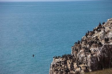 《赛博朋克2077》核心团队将迁至美国 开发续作