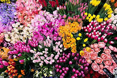 《企鹅帮手》Steam抢先体验 南极美景企鹅互动